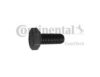 CONTITECH V41075 Screw